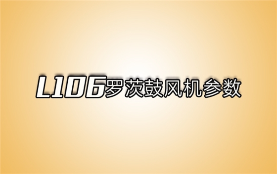 l06系列羅茨風(fēng)機.jpg