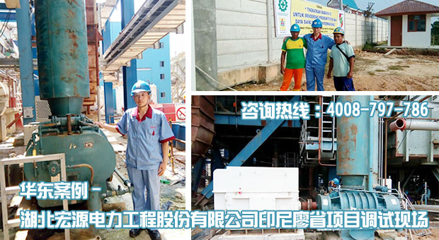 宏源電力印尼廖省項目HDGR450羅茨風機安裝調試現場
