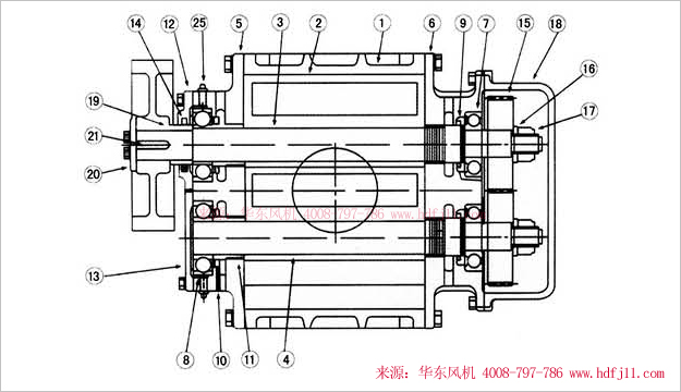 三葉羅茨風機內(nèi)部結構圖-縱切圖.jpg
