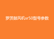 羅茨鼓風(fēng)機(jī)sr50型號(hào)參數(shù).jpg