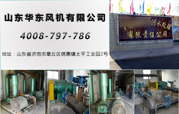 曝氣風(fēng)機