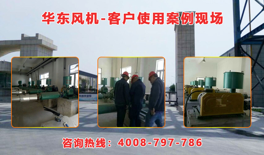 華東內(nèi)蒙古羅茨風(fēng)機(jī)案例-內(nèi)蒙古**生物環(huán)?？萍加邢挢?zé)任公司